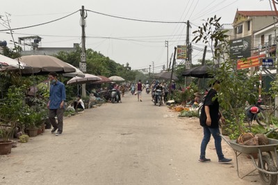 “Chợ cóc” hoạt động trên đê sông Đáy qua xã Phương Trung