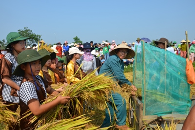 Đặc sắc lễ hội tôn vinh lúa nước