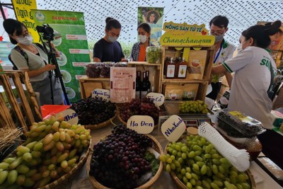 Lễ hội nông sản đặc sản vùng miền 2023 tôn vinh hơn 1.000 nông sản Việt