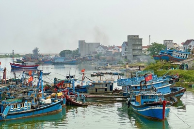  244 tàu cá Quảng Ngãi bị xóa tên