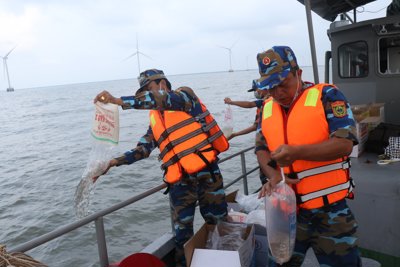 Bạc Liêu: Thả 4,2 triệu tôm giống ra biển, tái tạo nguồn thủy sản chống IUU