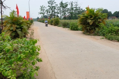 Huyện Phúc Thọ: Sớm đưa xã Võng Xuyên về đích nông thôn mới nâng cao