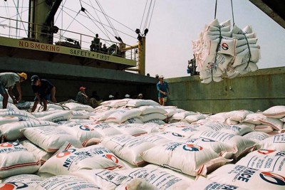 Vì sao khó xây dựng thương hiệu quốc gia cho gạo Việt?