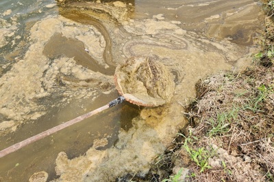 Quảng Trị: Nhiều chỉ số ô nhiễm vượt mức trên sông Sa Lung
