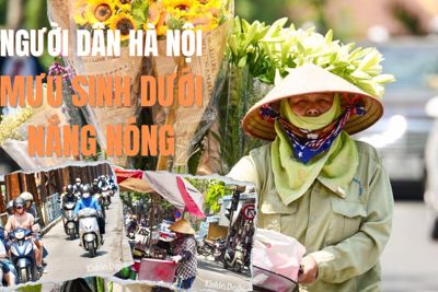 Người dân Hà Nội mưu sinh dưới nắng nóng