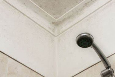 2 cách loại bỏ nấm mốc trên trần nhà tắm hiệu quả