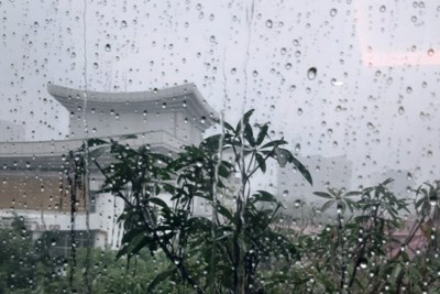 Dự báo thời tiết ngày 9/5/2023: Hà Nội mưa rào và dông, trời mát