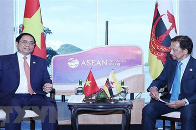 Việt Nam-Brunei thúc đẩy tăng trưởng thương mại đa dạng và cân bằng