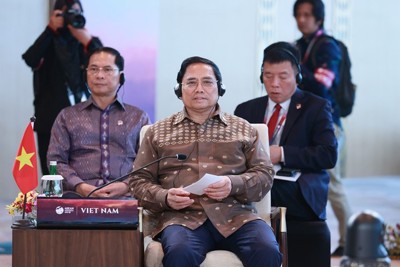 ASEAN cần thích ứng năng động và tăng cường sức mạnh tự thân 