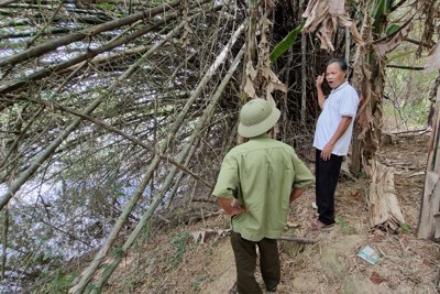 Sạt lở gia tăng, nhiều diện tích đất sản xuất bị sông "nuốt chửng"