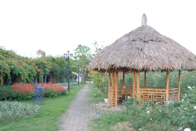 Hà Nội:Khu vườn “Phúc Thọ Hoa Bay” tạm dừng hoạt động để khắc phục sai phạm