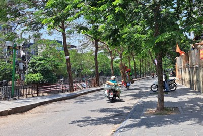 Chính quyền phường ra quân xử lý nghiêm vi phạm trên phố Trần Đại Nghĩa