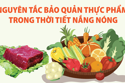 Nguyên tắc bảo quản thực phẩm an toàn trong thời tiết nắng nóng