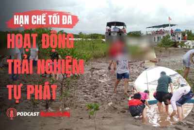 Hà Nội: Sắp có 8 rào chắn thi công mọc lên giữa đường Nguyễn Trãi