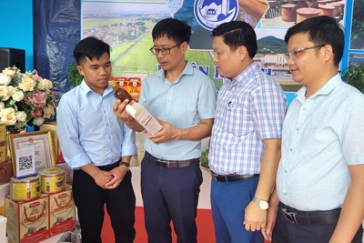 Hà Tĩnh: Hấp dẫn sản phẩm chủ lực tại hội nghị công bố Quy hoạch tỉnh