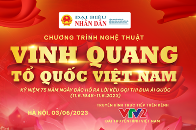Tự hào dân tộc cùng 'Vinh quang Tổ quốc Việt Nam'