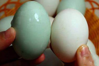Mua trứng vịt nên chọn quả vỏ màu trắng hay xanh?