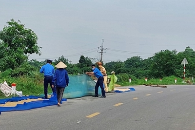 Hà Nội tăng cường kiểm tra, xử lý tình trạng phơi thóc trên đường