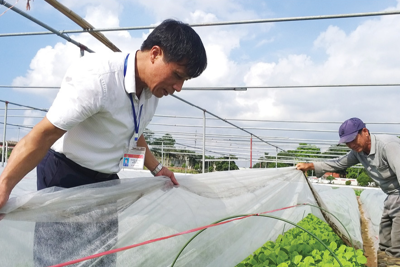 Ngành nông nghiệp Hà Nội tăng trưởng 2,24%