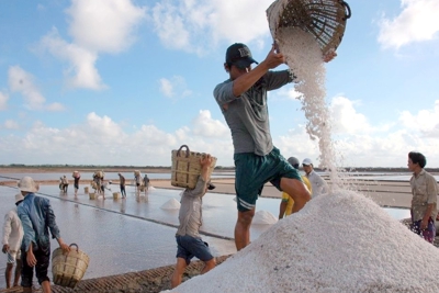 Sớm có giải pháp để muối đáp ứng ngành công nghiệp
