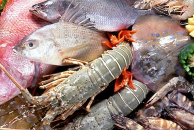 Các loại hải sản tươi sống nên được bảo quản trong bao lâu?