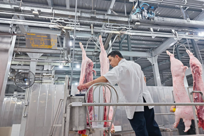 Xuất khẩu thịt và sản phẩm thịt của Việt Nam tăng mạnh 