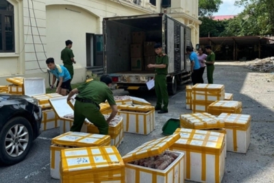 Hơn 1,2 tấn thực phẩm không nguồn gốc trên đường về Hà Nội bị thu giữ