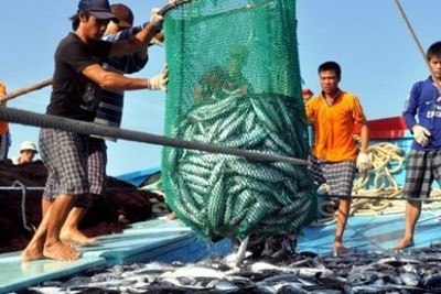 Triển khai các giải pháp cấp bách chống khai thác hải sản bất hợp pháp