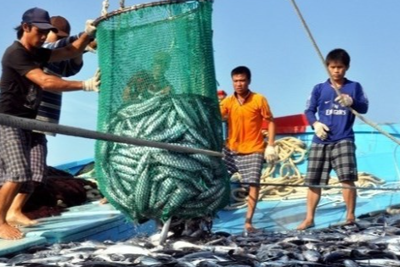 Phó Thủ tướng: Mở đợt cao điểm chống khai thác hải sản bất hợp pháp