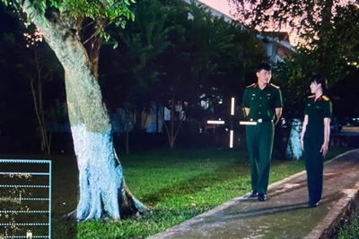 Tuần phim kỷ niệm Ngày thành lập Quân đội nhân dân Việt Nam