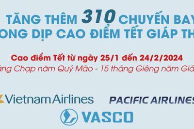 Vietnam Airlines Group tăng thêm hơn 66.000 vé máy bay dịp Tết Nguyên đán Giáp Thìn