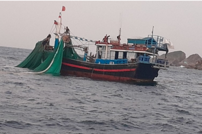 Khánh Hòa: Đánh bắt trong khu bảo tồn biển, hai tàu bị phạt 350 triệu