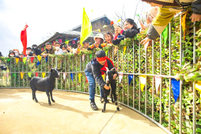 Nhiều du khách thích thú trải nghiệm du Xuân tại Sa Pa, Hạ Long