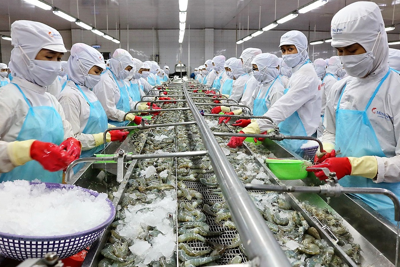 Những thách thức của xuất khẩu thủy sản Việt Nam năm 2024