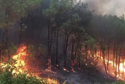 Thủ tướng chỉ đạo quyết liệt triển khai các biện pháp phòng cháy, chữa cháy rừng