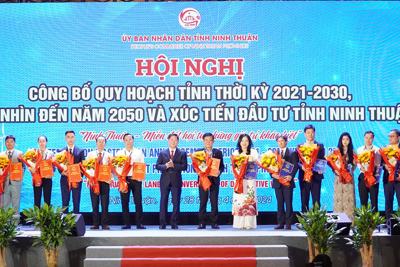Ninh Thuận tập trung thu hút đầu tư các dự án động lực