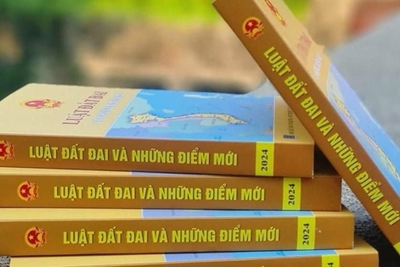 Chính phủ thông qua Đề nghị sớm đưa Luật Đất đai 2024 vào cuộc sống