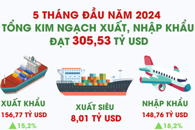 Việt Nam xuất siêu hơn 8 tỷ USD trong 5 tháng đầu năm 2024