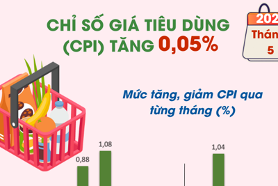 Chỉ số giá tiêu dùng (CPI) tháng 5 năm 2024 tăng 0,05%