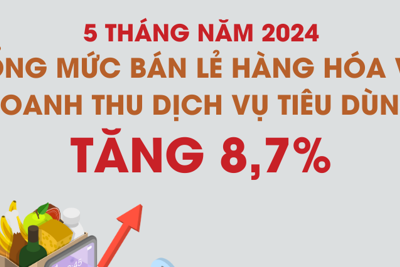 Tổng mức bán lẻ hàng hóa và doanh thu dịch vụ tiêu dùng tăng 8,7%