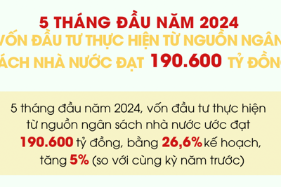 Vốn đầu tư từ ngân sách Nhà nước 5 tháng đầu năm 2024 tăng 5%