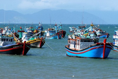 Quyết tâm cao gỡ cảnh báo "Thẻ vàng" IUU