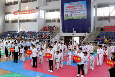 Gần 200 vận động viên tranh tài tại Giải taekwondo Hè huyện Chương Mỹ năm 2024