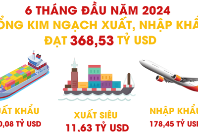 Tổng kim ngạch xuất, nhập khẩu hàng hóa 6 tháng đầu năm 2024 tăng 15,7%