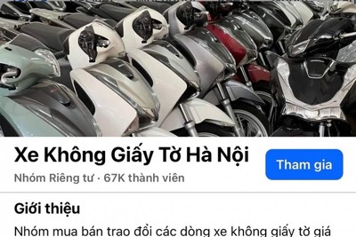 Mua xe không giấy tờ, vừa mất tiền vừa vi phạm pháp luật