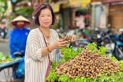 Mùa hồng bì chín đi qua phố Hà thành