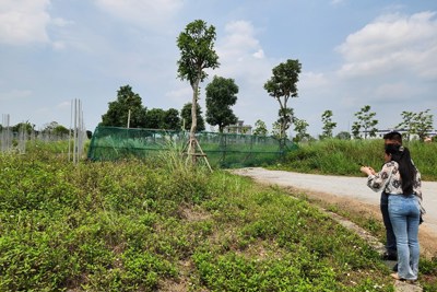 Hà Nội: ôm đất đón đầu quy hoạch, nhà đầu tư chờ sóng thoát hàng