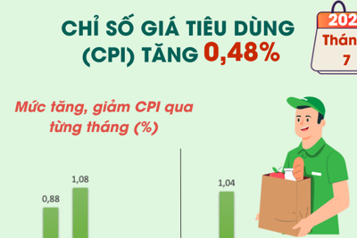 Chỉ số giá tiêu dùng (CPI) tháng 7/2024 tăng 0,48%