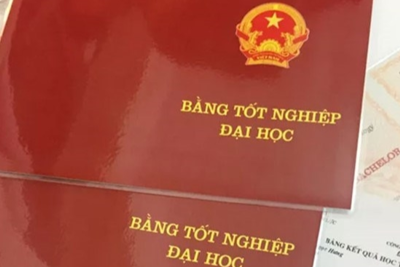 Dùng bằng tốt nghiệp THPT giả thì các bằng cấp cao hơn xử lý thế nào?