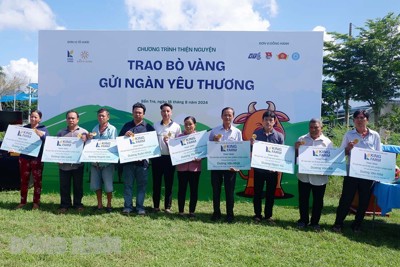 King Farm Group hành trình thiện nguyện “Trao bò vàng - Gửi ngàn yêu thương”